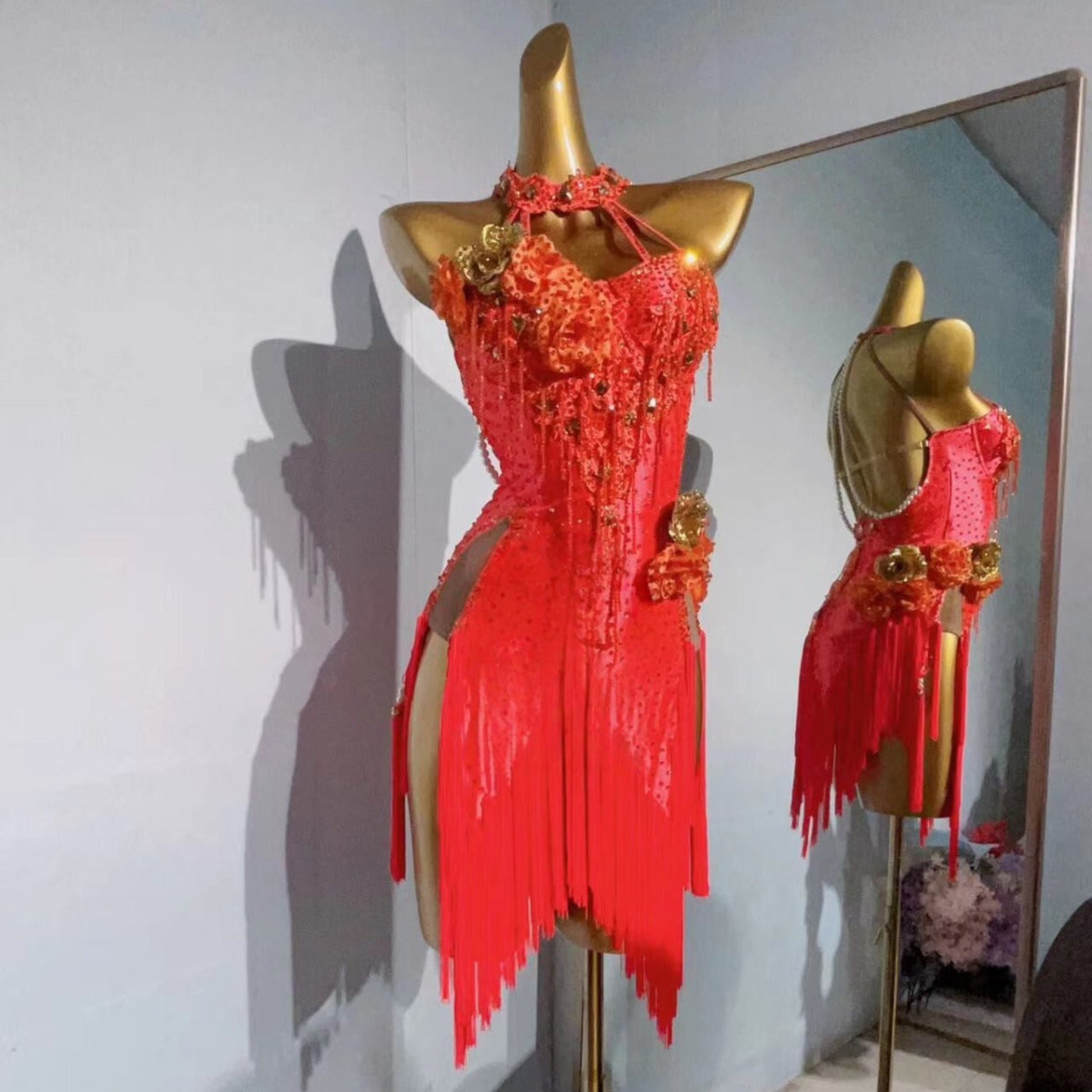 Latin Dance Dress