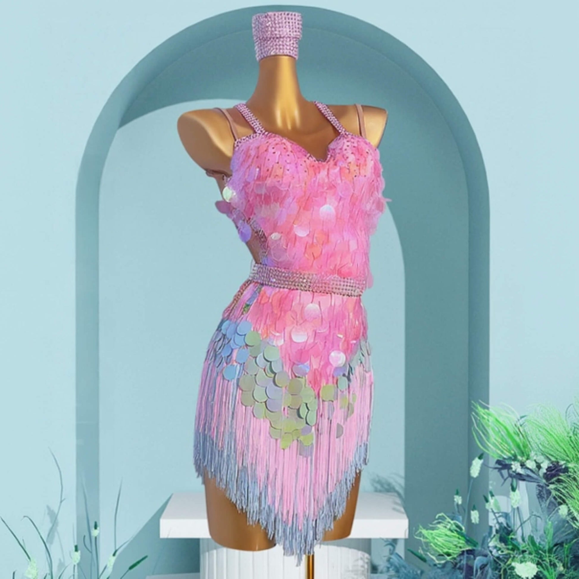 Professional Latin Dress