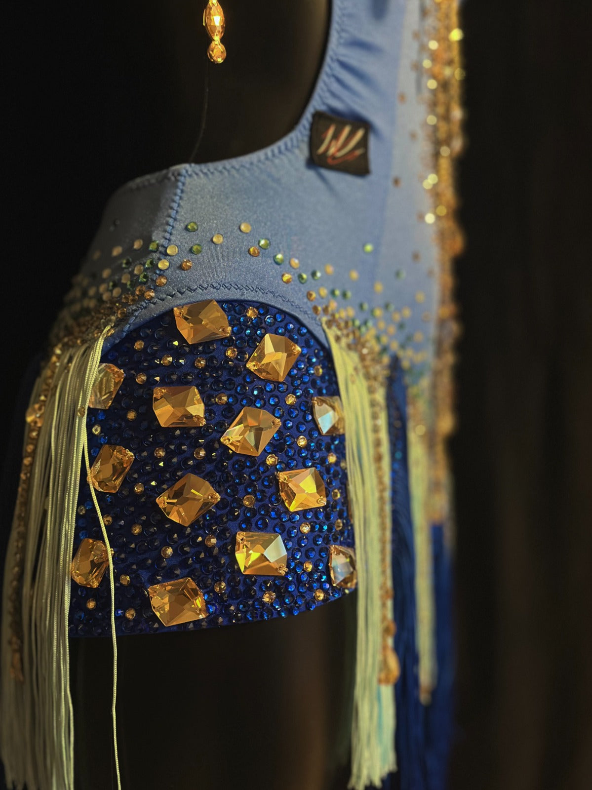 Latin Dance Dress