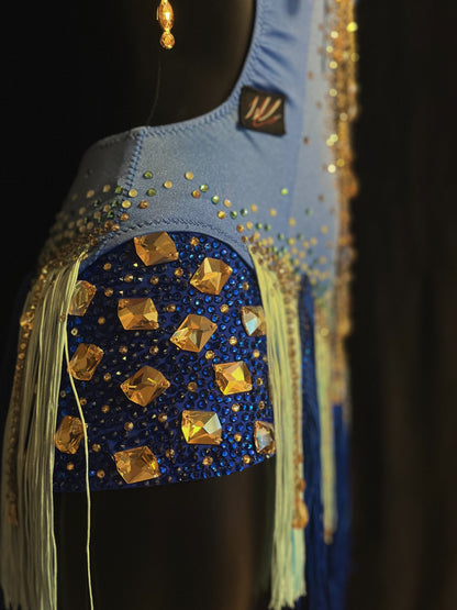 Latin Dance Dress