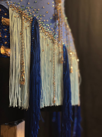 Latin Dance Dress