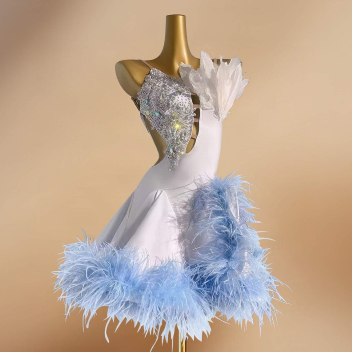 Latin Dress Costume
