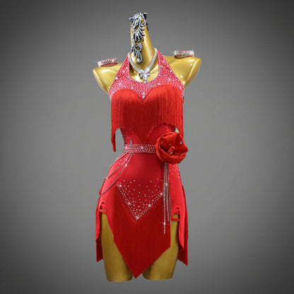 Latin Dance Dress