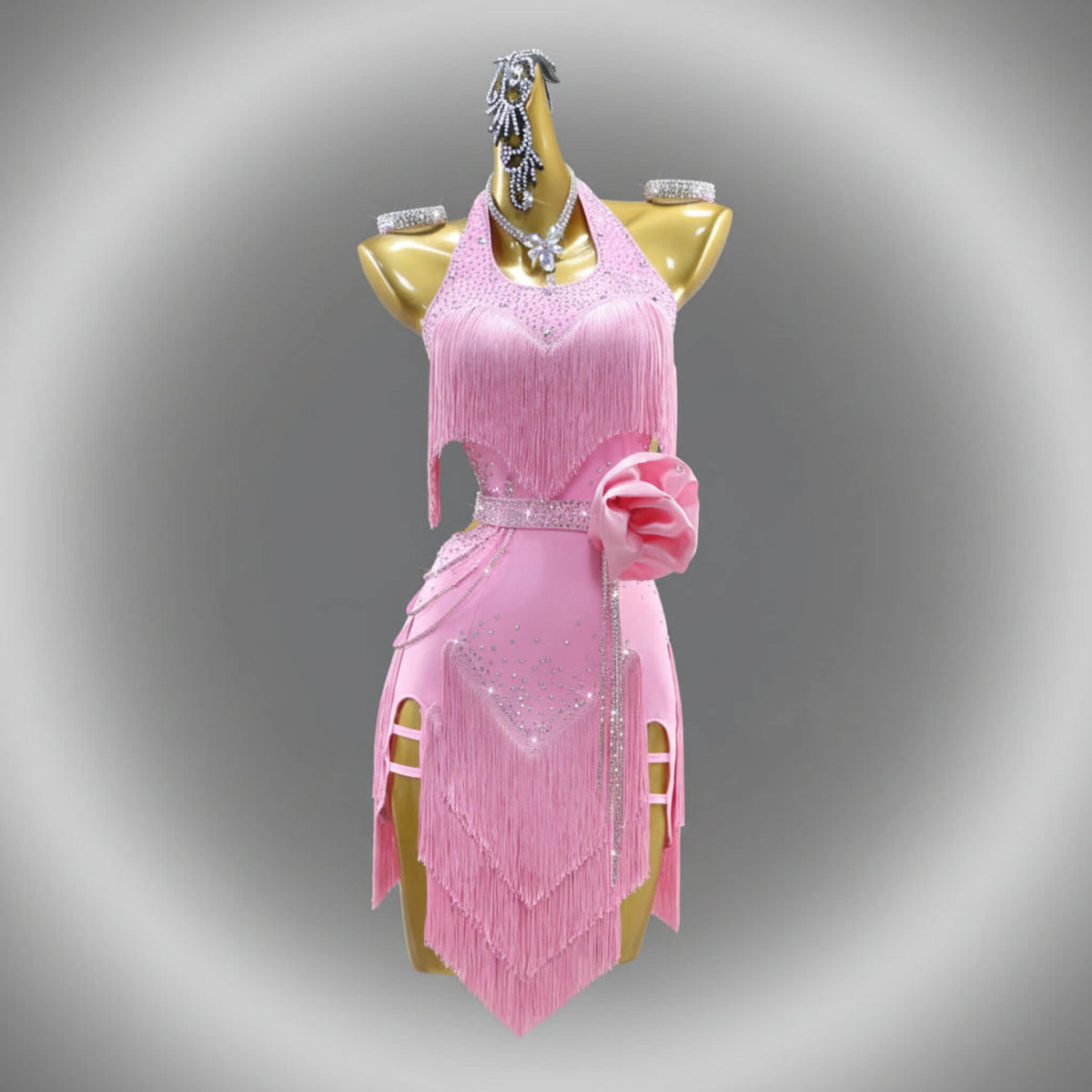 Latin Dance Dress