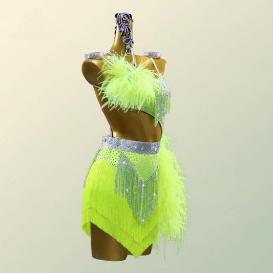 Professional Dance Dress