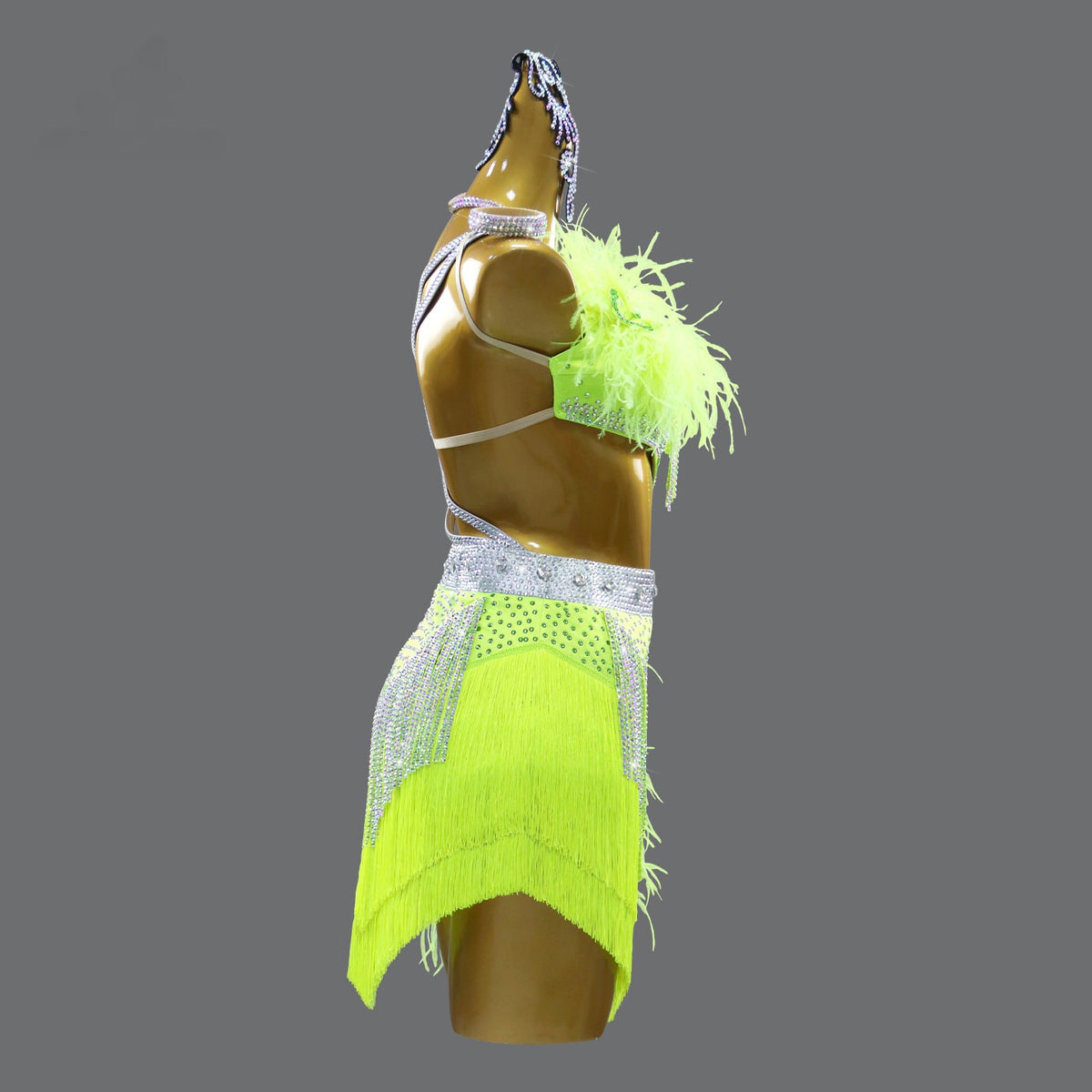Professional Dance Dress