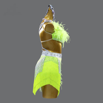Professional Dance Dress