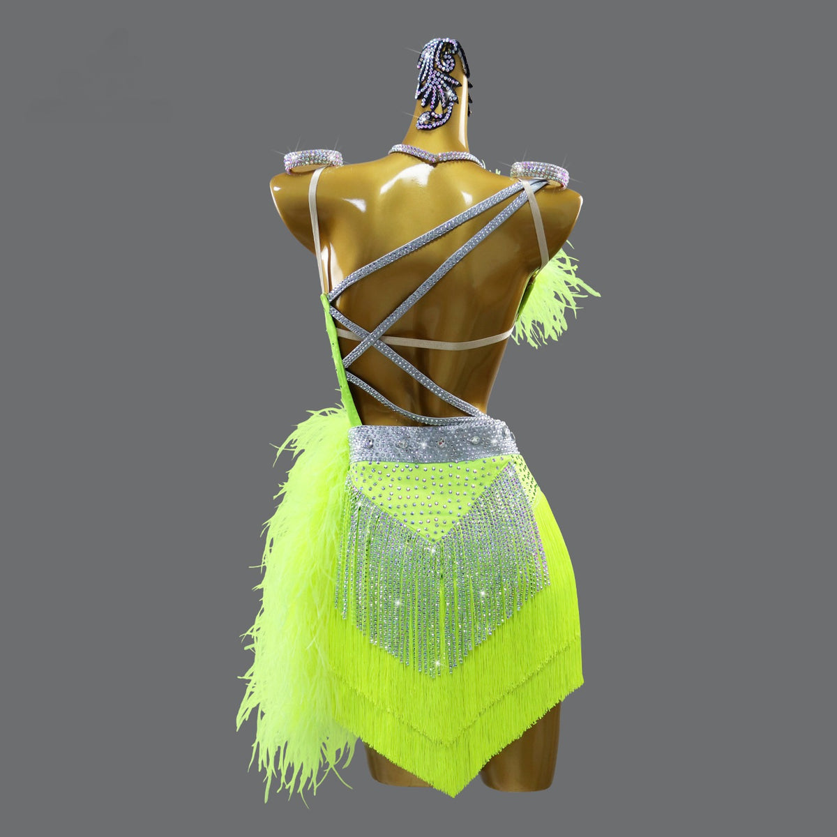 Professional Dance Dress