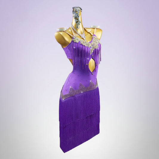 Custom Latin Dance Dress