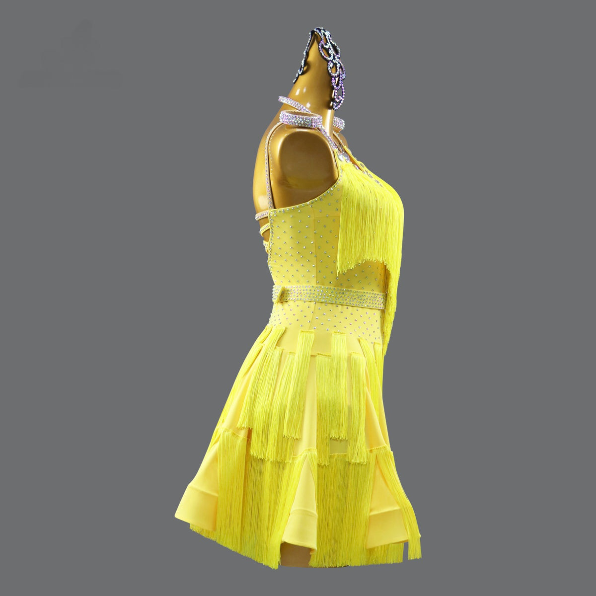 Latin Dance Dress