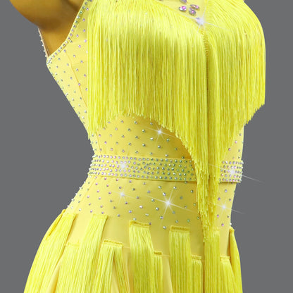 Latin Dance Dress