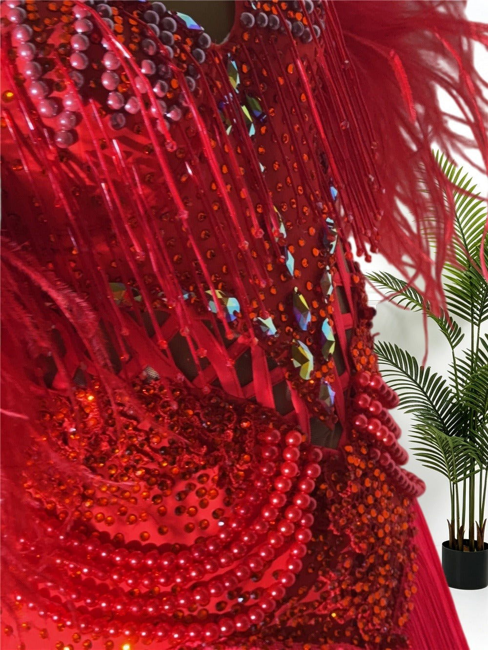Latin Performance Dress