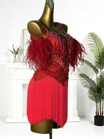Latin Performance Dress