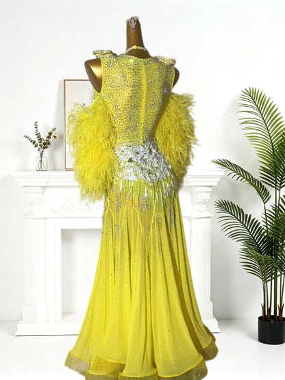 Ballroom Dress Competition-Ready