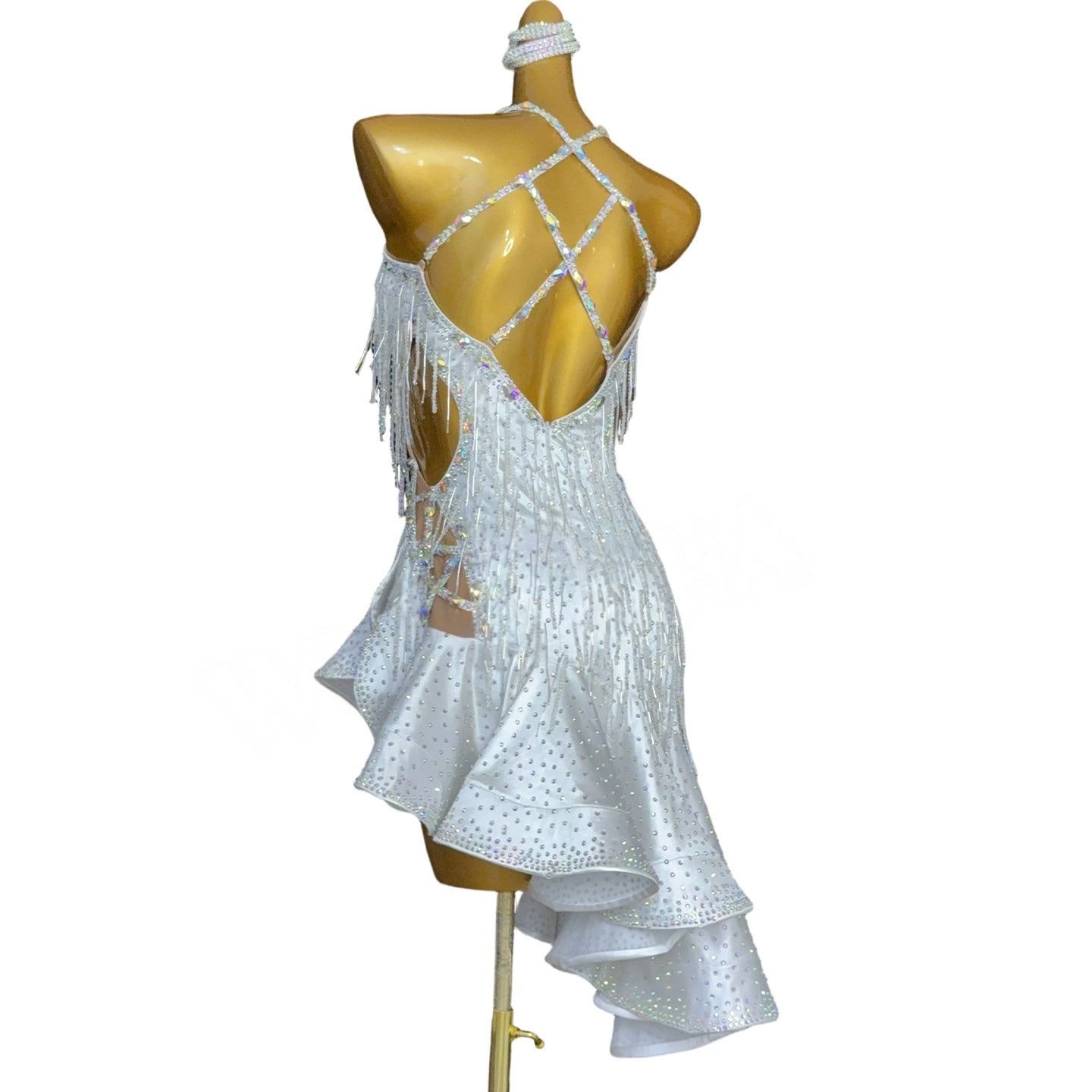 Latin Dance Dress