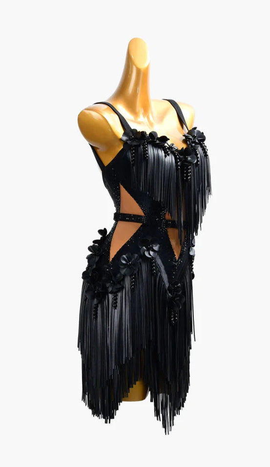 Latin dancesport dresses