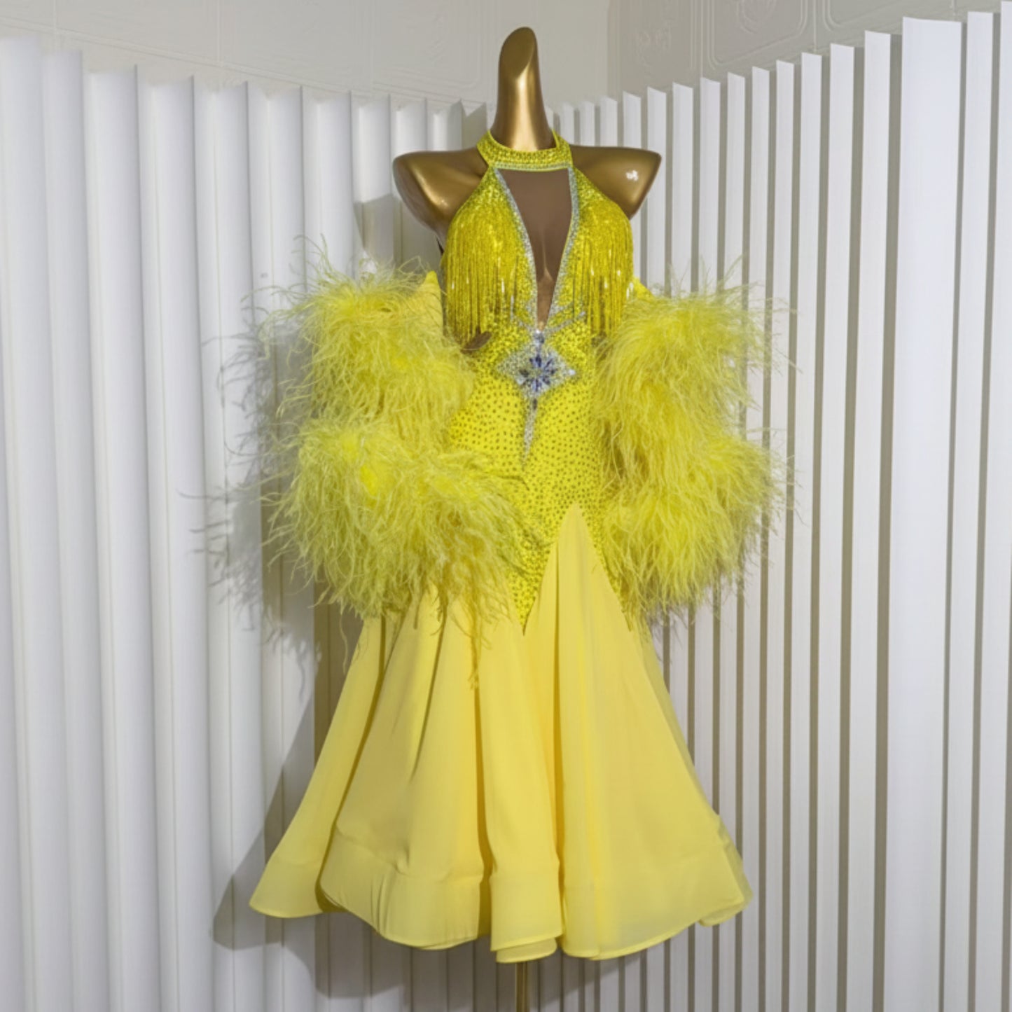 Ballroom Dress For Woman