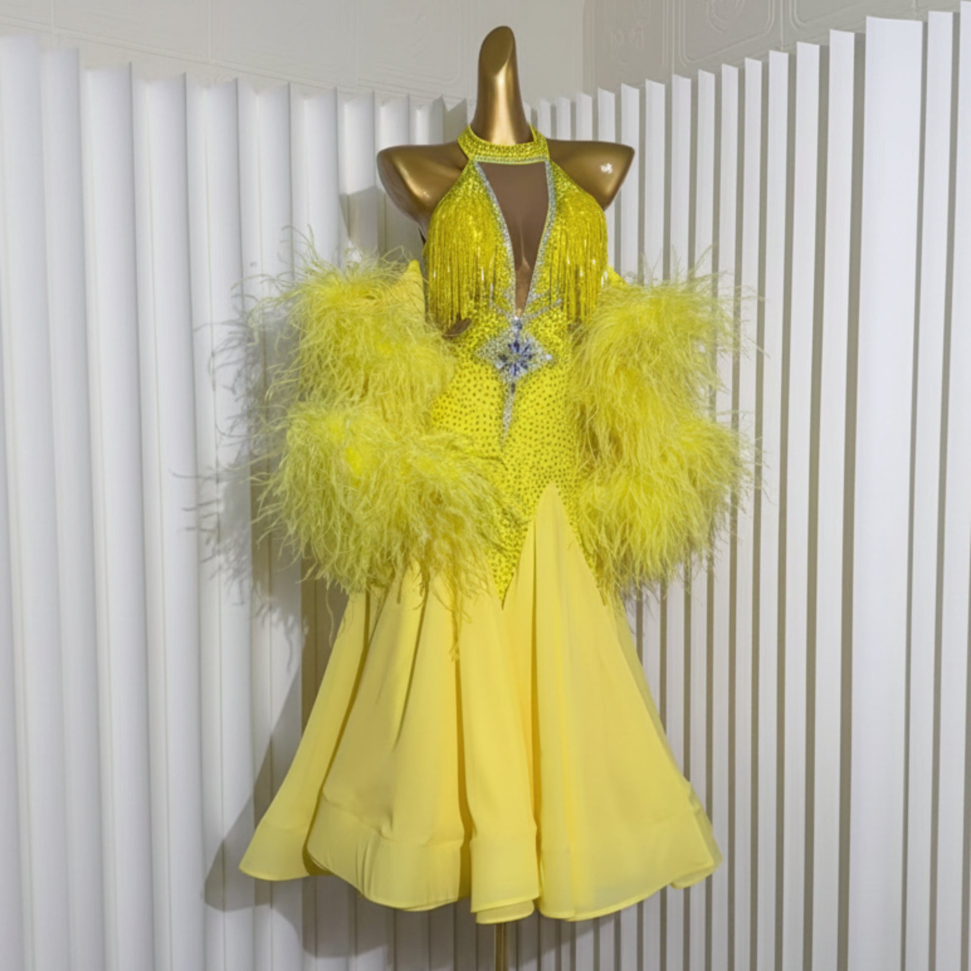 Ballroom Dress For Woman