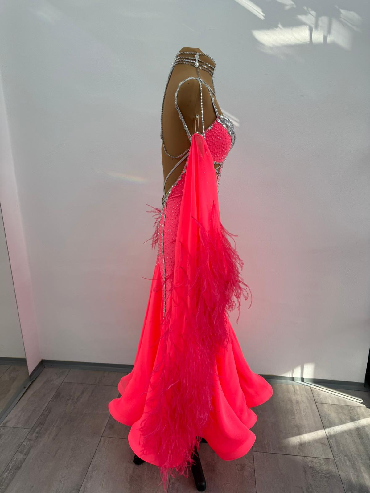 Professional Ballroom Dress