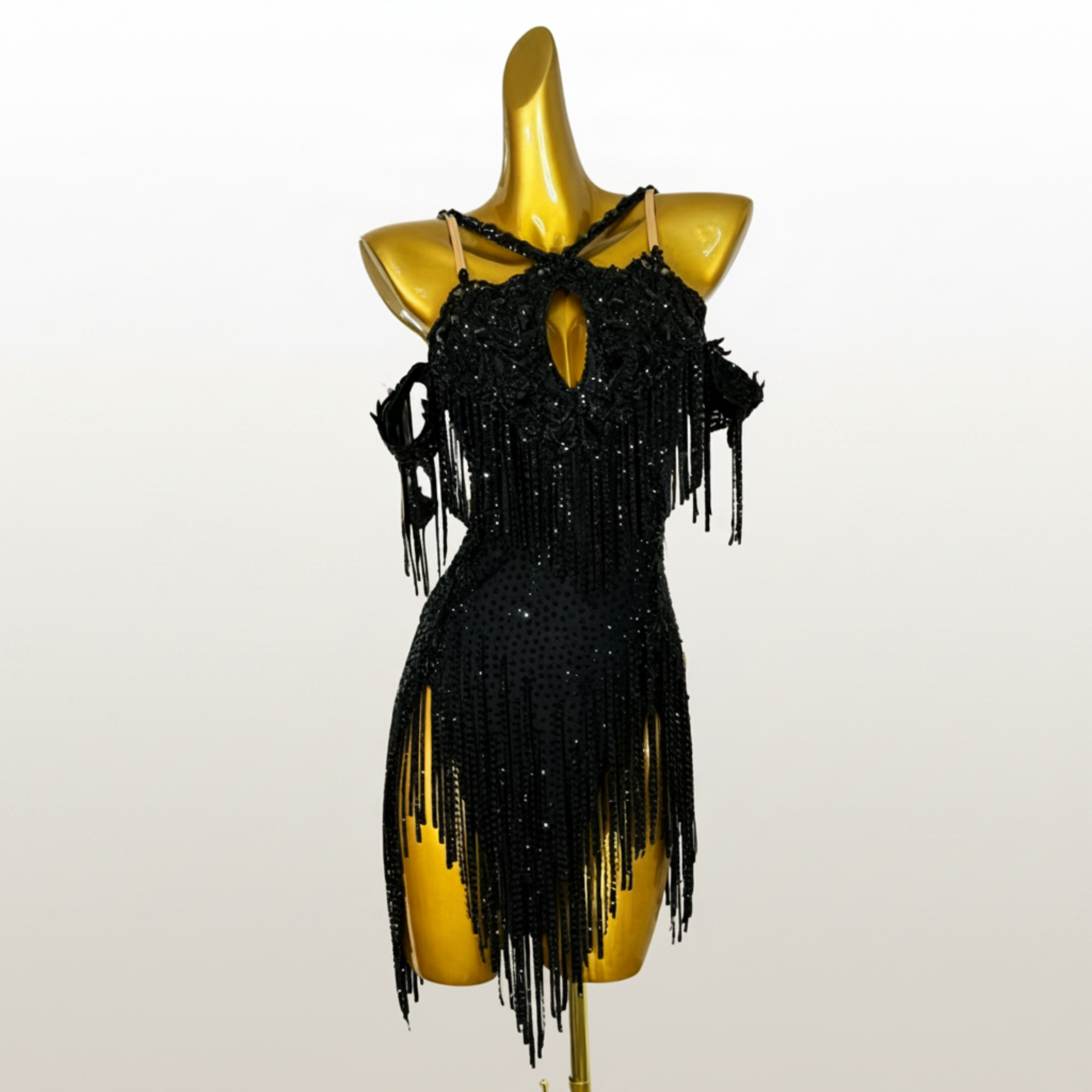Crystal Latin Costume