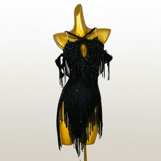 Crystal Latin Costume