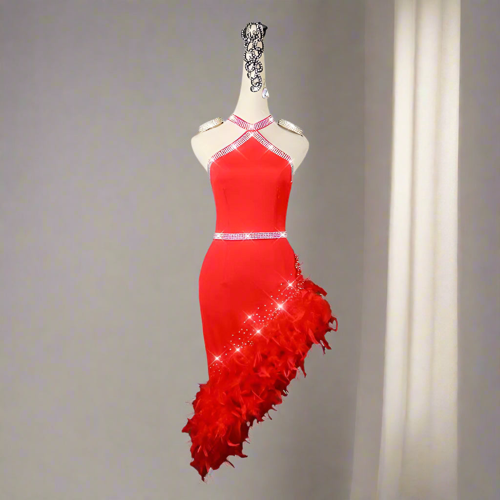 Latin dancesport dresses