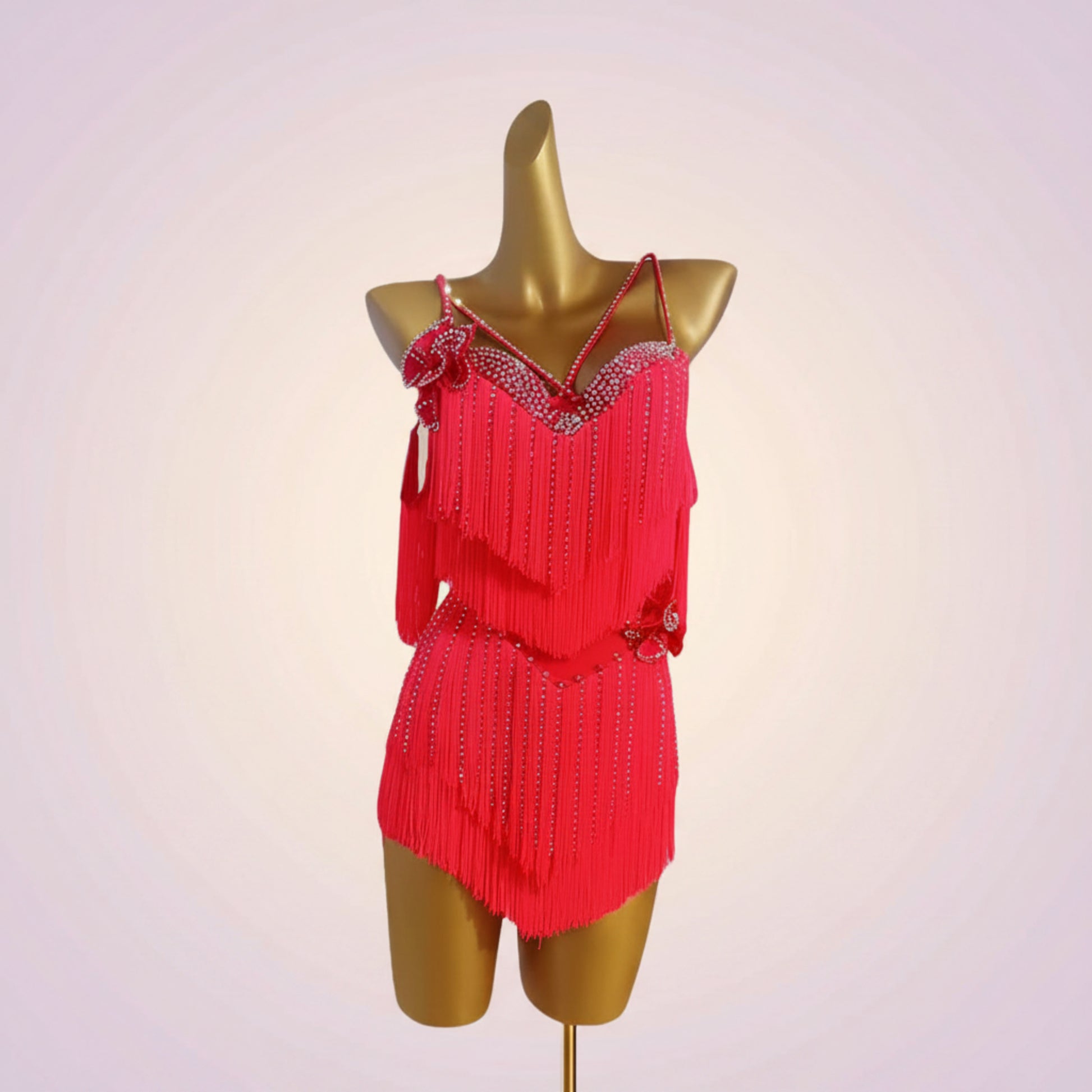 Latin Dress With Fringes 