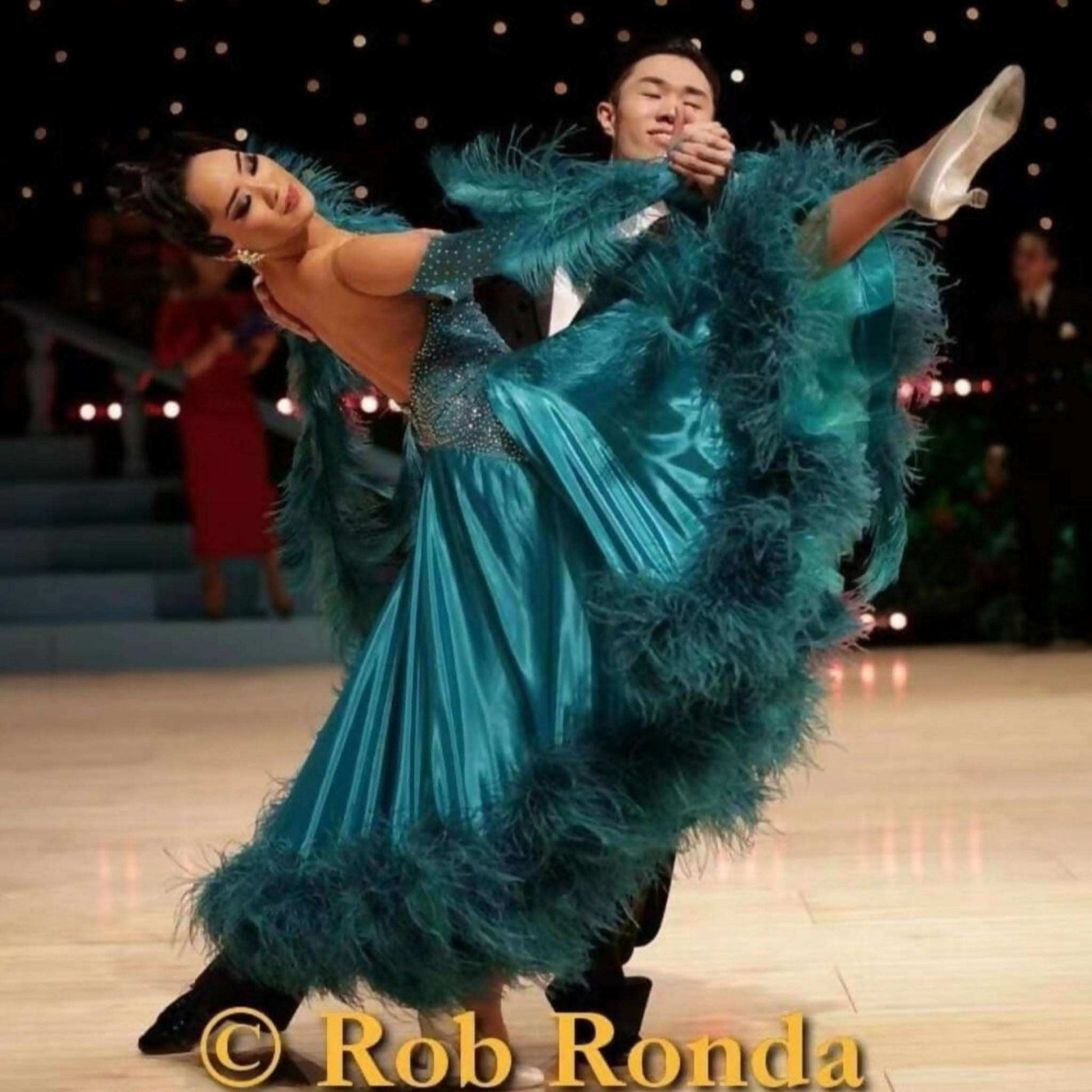 modern ballroom dresses Lace Ballroom Dance Competition Dresses Modern Waltz Tango Performance