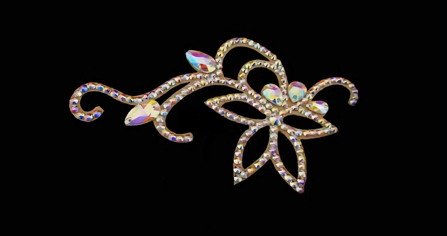 Competition Hairstyle