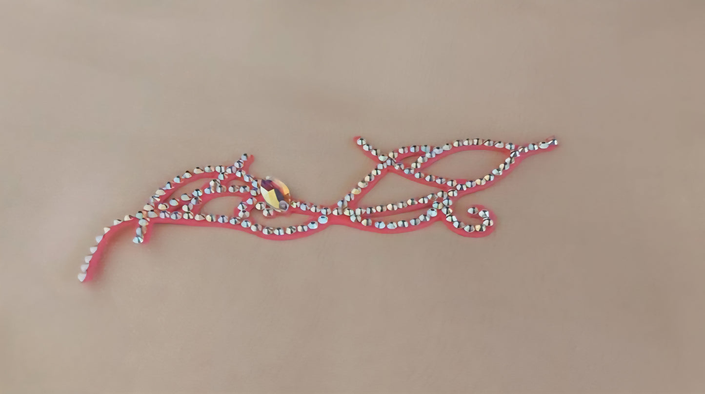 Competition Hairstyle