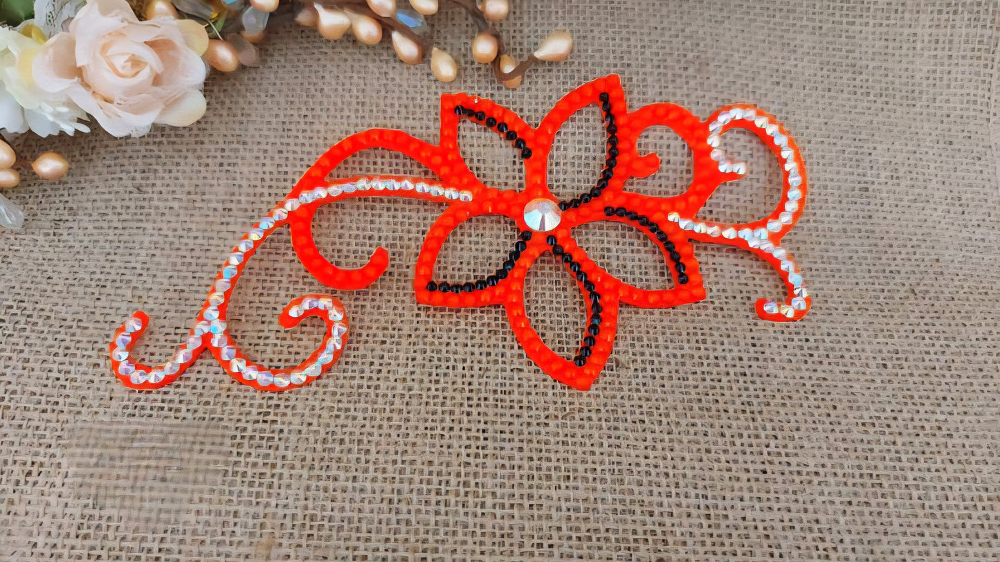 Competition Hairstyle