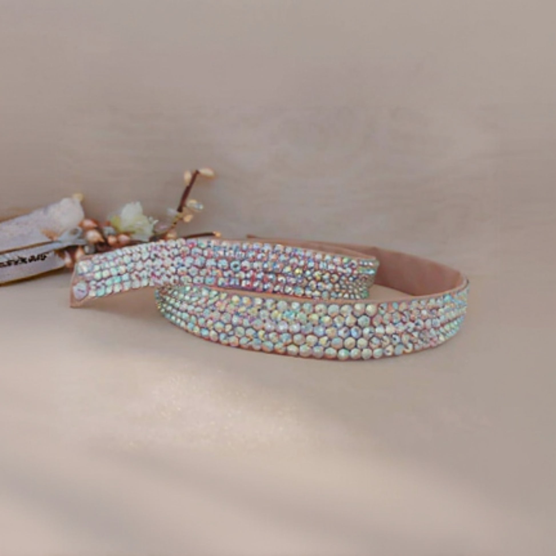 Buy Elegant Dance Belt