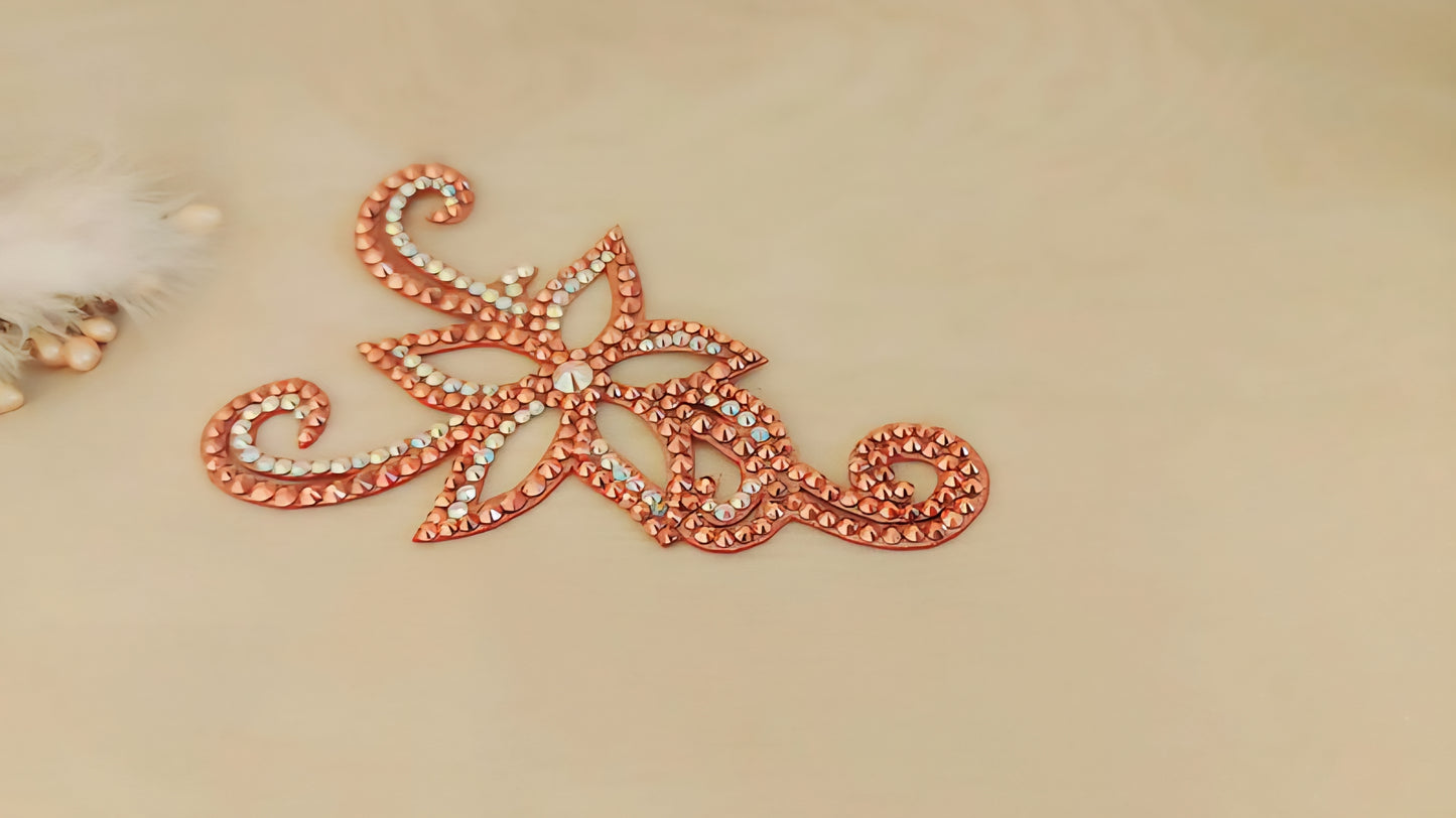 Competition Hairstyle