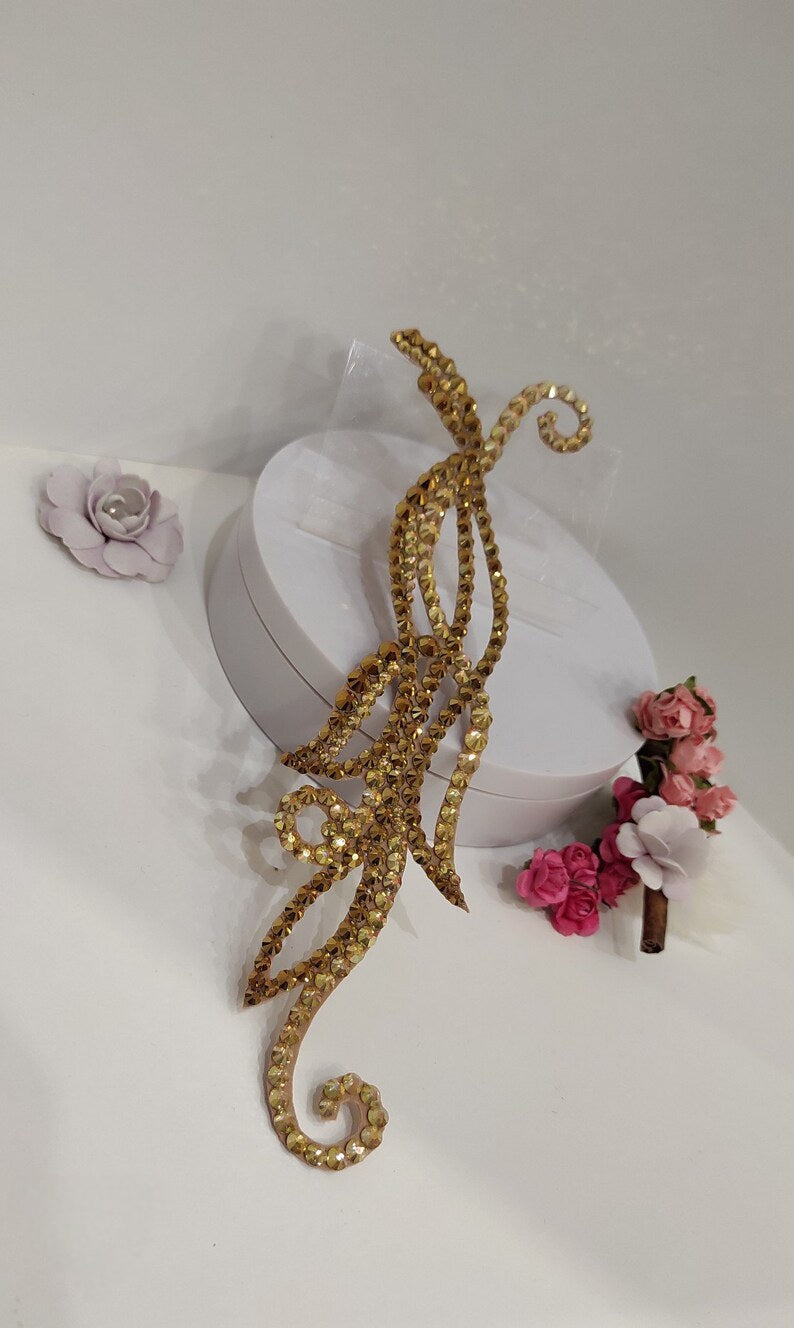 Competition Hairstyle