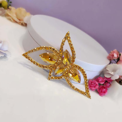 Competition Hairstyle