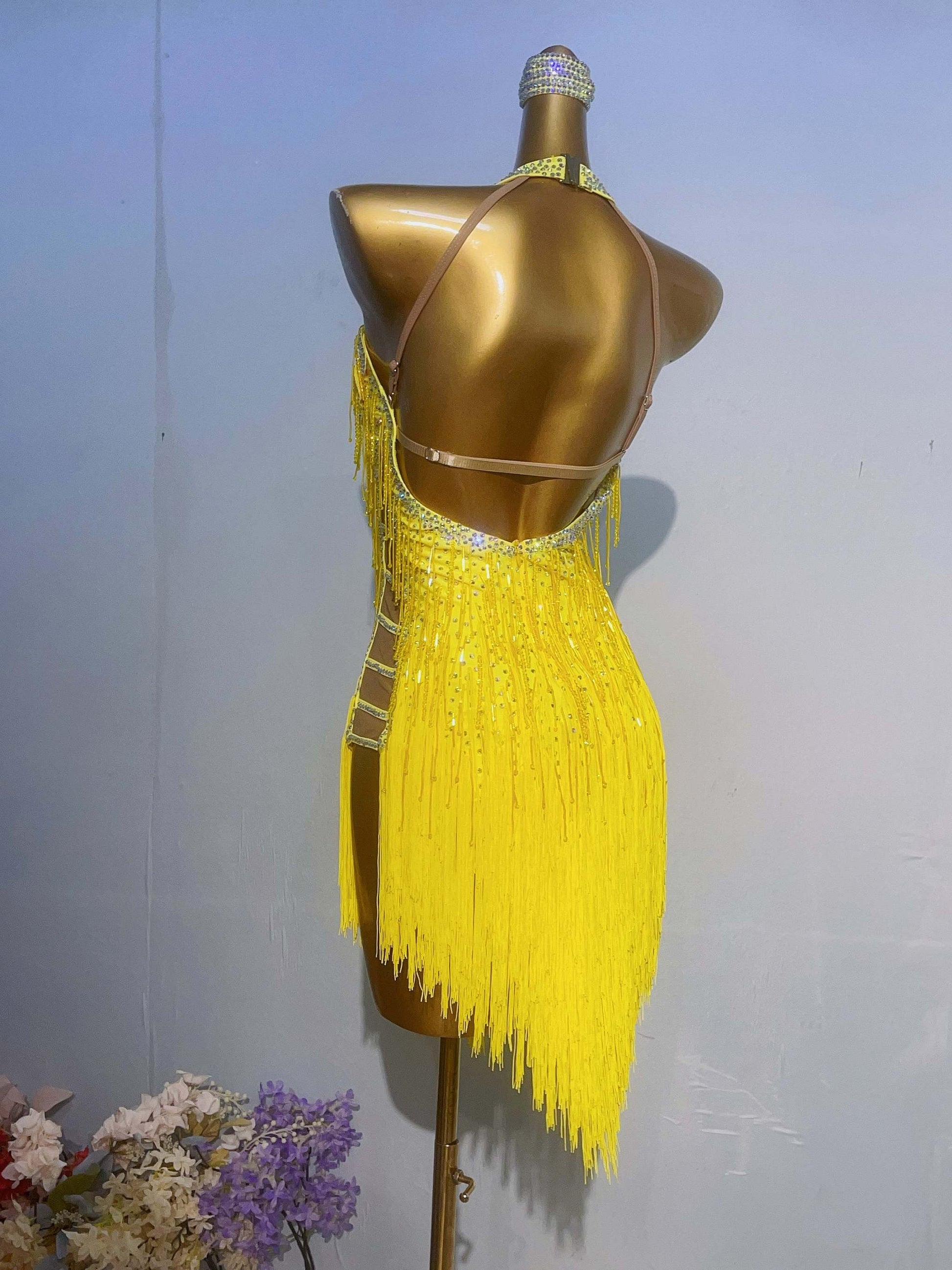 Latin dancesport dresses