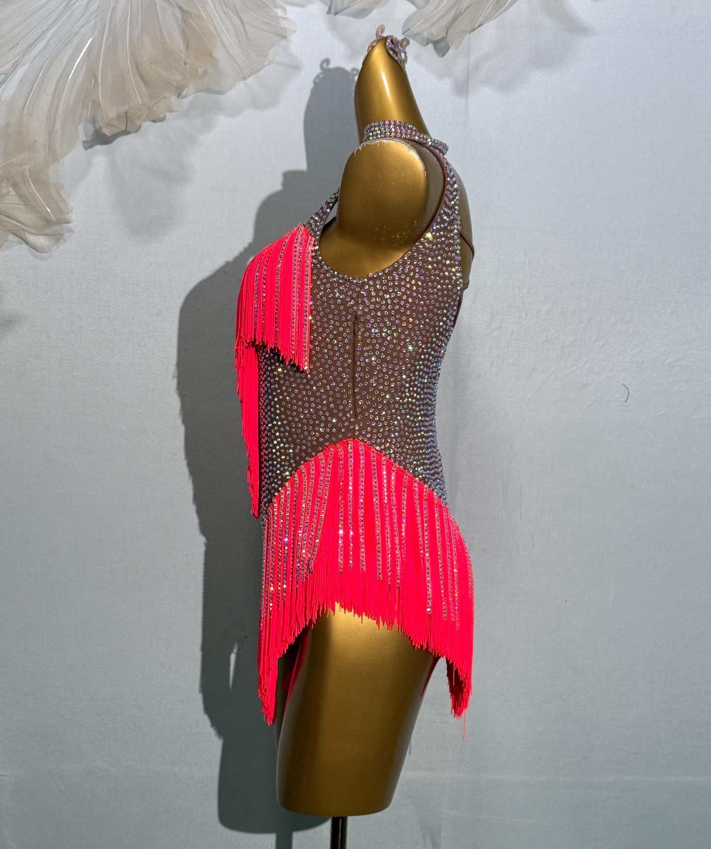 Latin dancesport dresses