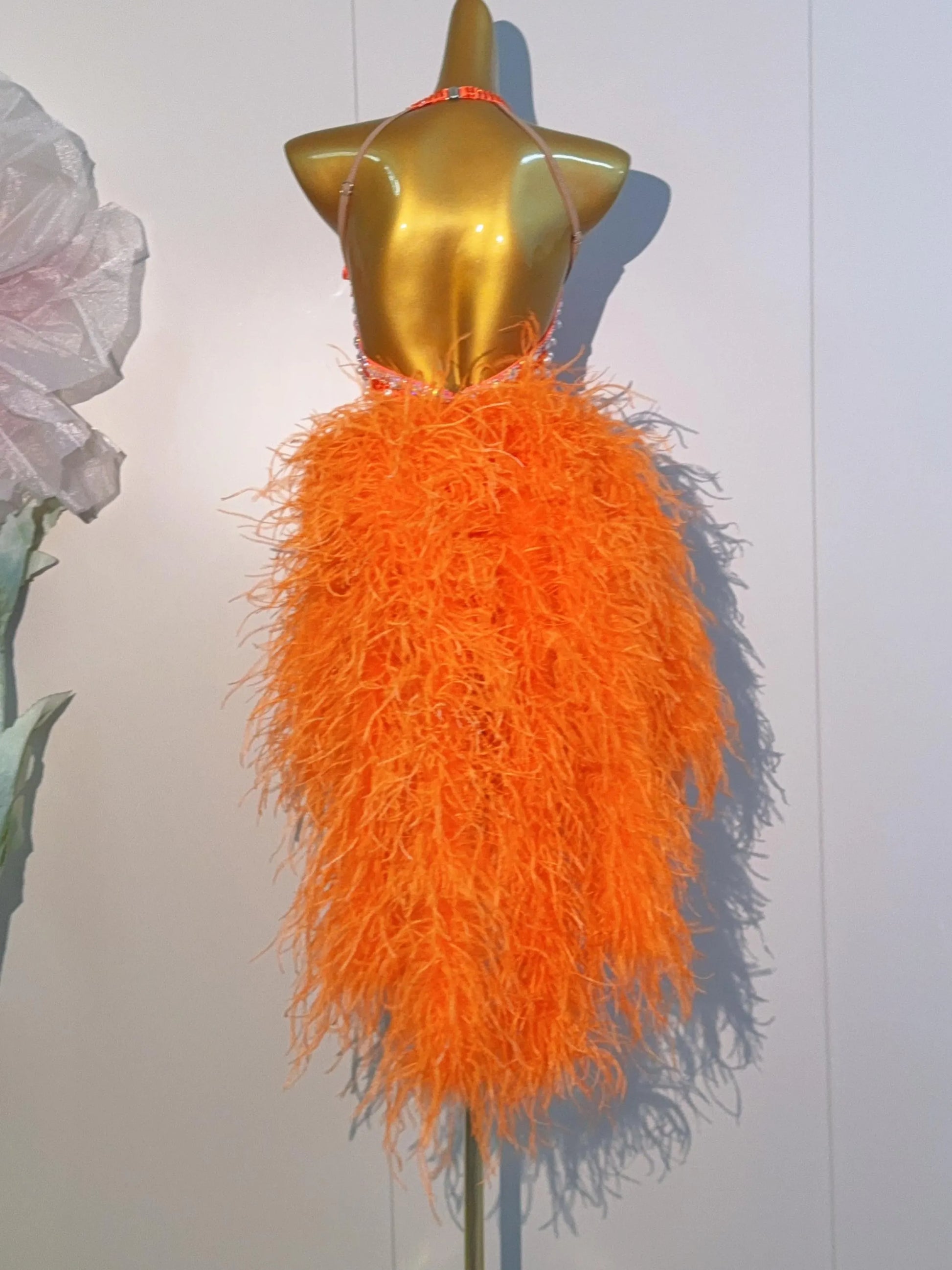 Latin Dance Costume