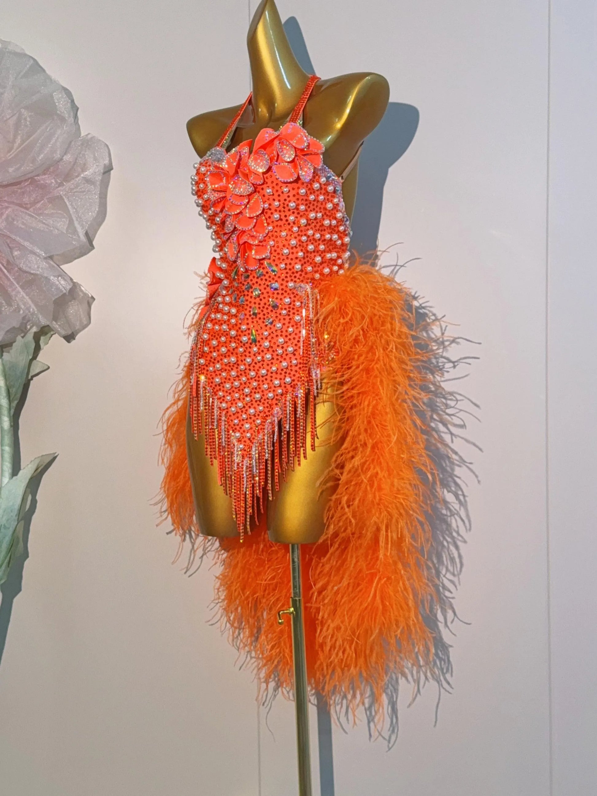 Latin Dance Costume