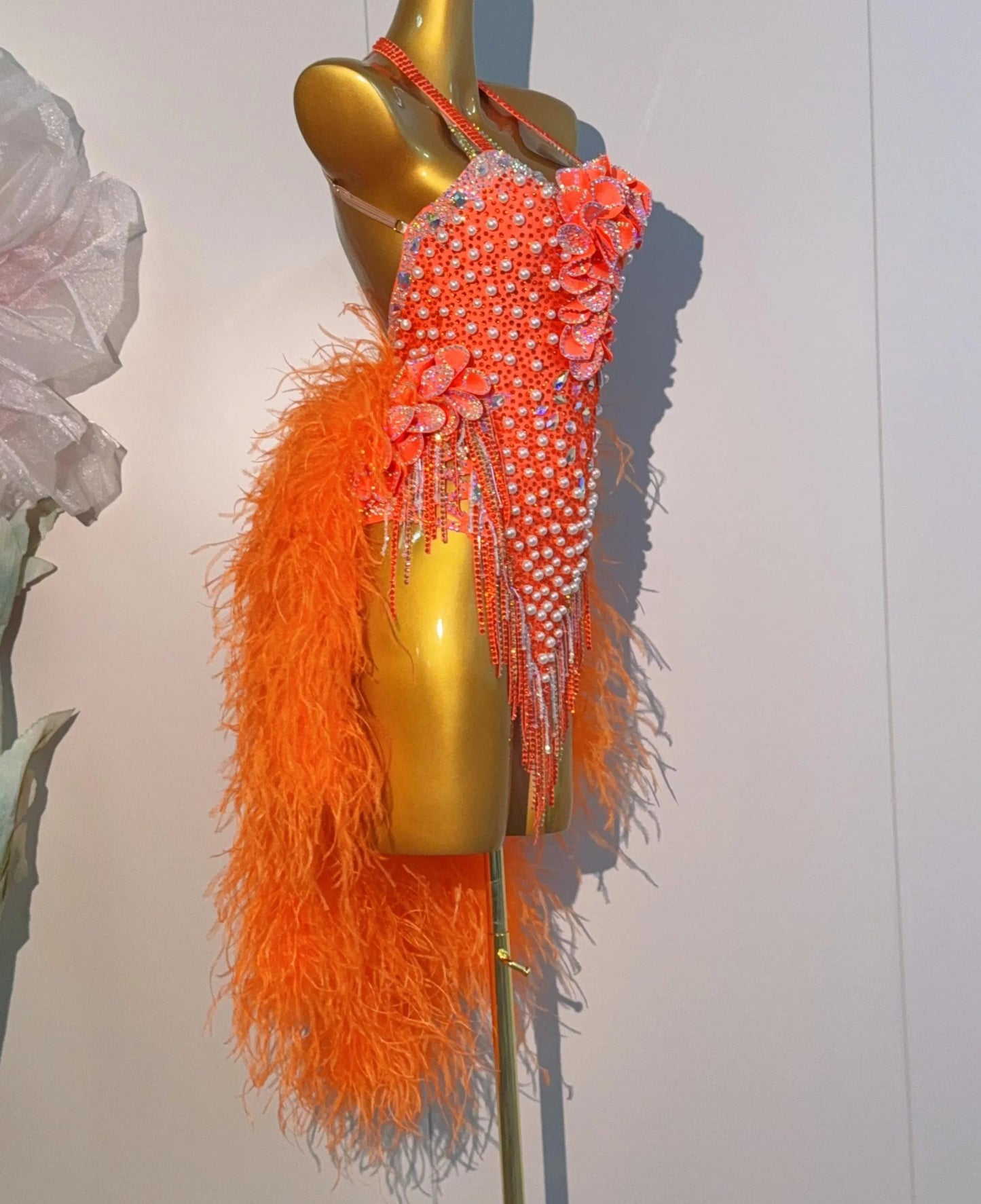 Latin Dance Costume