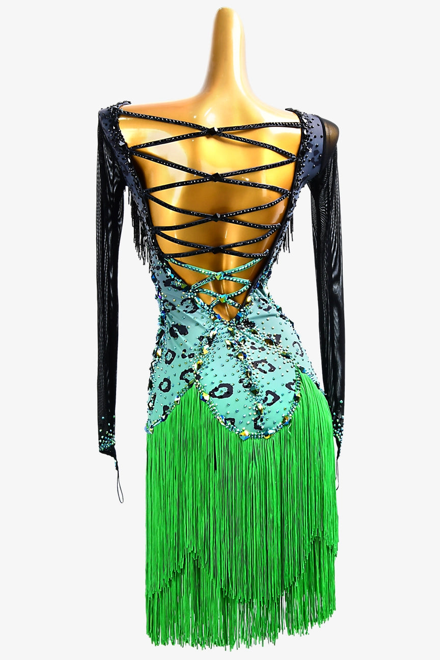 Latin dancesport dresses