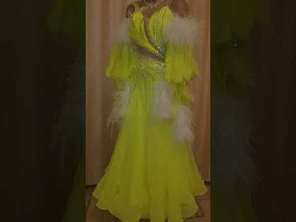 Luminous Feather Dream | Ballroom Dress For Sale