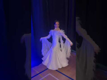 Ballroom Competition Dress