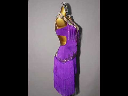 Custom Latin Dance Dress