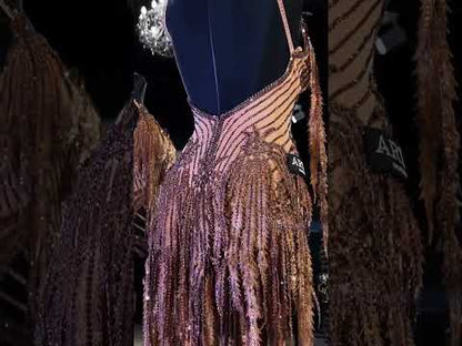 Exquisite Latin Dance Dress