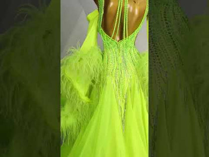 Swanlike Grace | DSC_4923