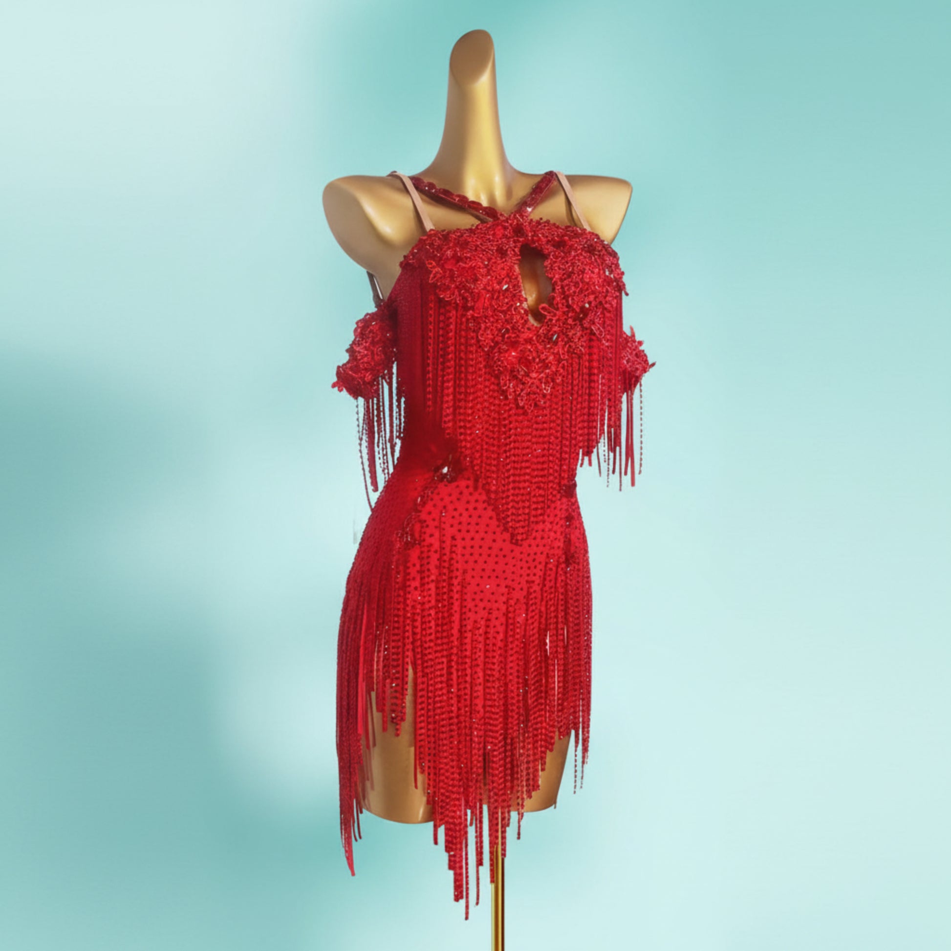Crystal Latin Costume