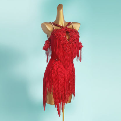 Crystal Latin Costume