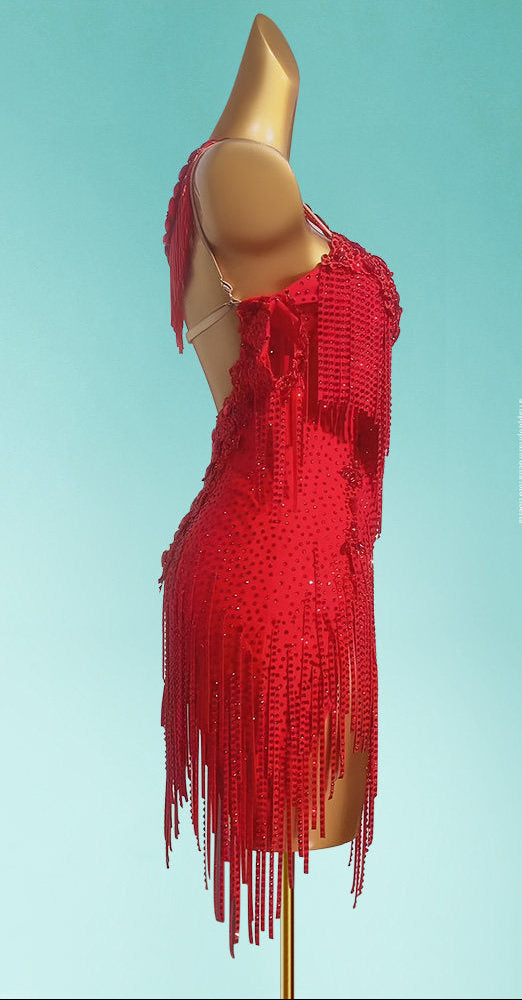 Crystal Latin Costume