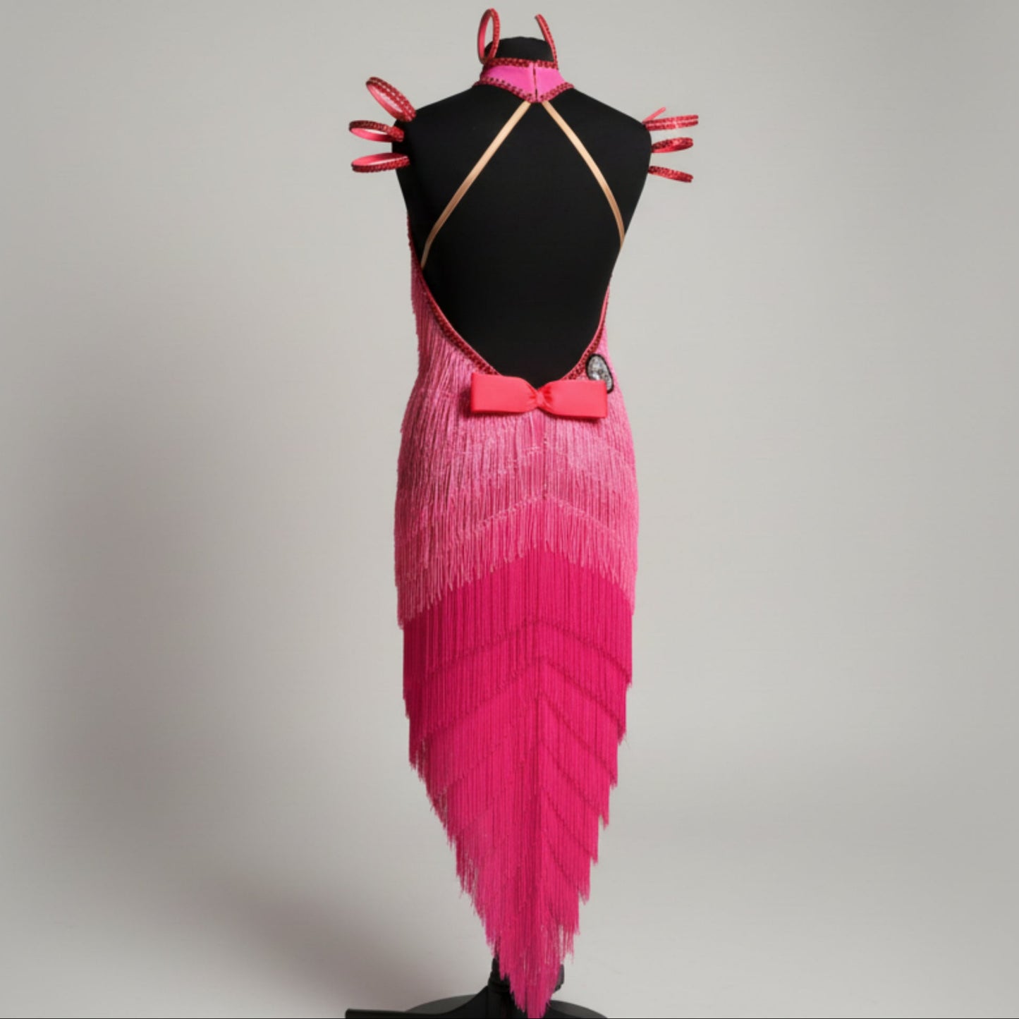 Luxury Latin Dance Dress